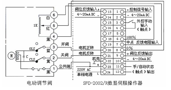 按此在新窗口瀏覽圖片