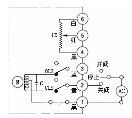 按此在新窗口瀏覽圖片