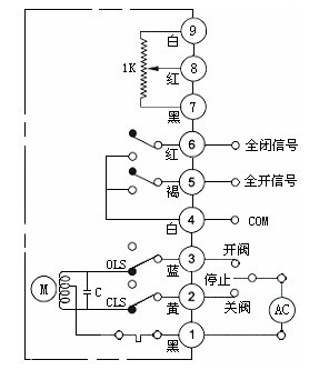 按此在新窗口瀏覽圖片