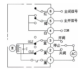 按此在新窗口瀏覽圖片